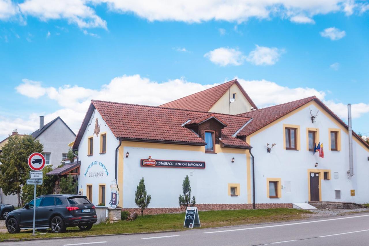 Penzion Samorost Jarosov nad Nezarkou Esterno foto